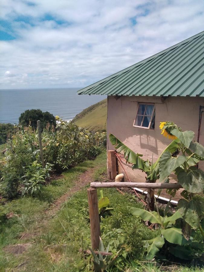 Apartment Wildview Self Catering Coffee Bay, Breakfast & Wi-fi Inc